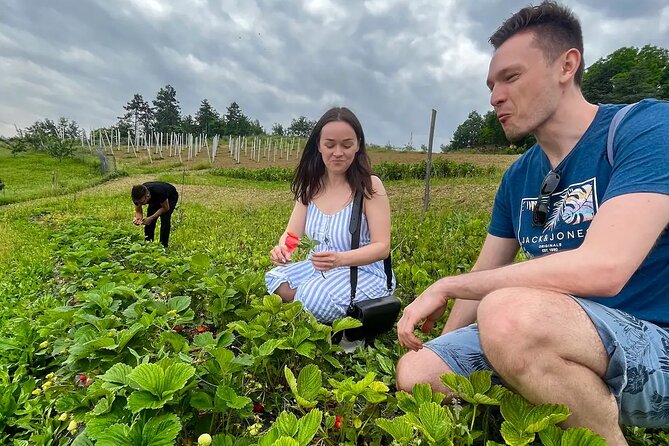 FARM STAY EXPERIENCE & DOZZA - Private Day Tour From Bologna - Lunch in Fontanelice: three courses, wine, fresh pasta, and organic meat