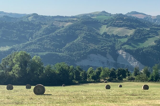 FARM STAY EXPERIENCE & DOZZA - Private Day Tour From Bologna - Dozza’s art streets and the Rocca: where town history becomes something you can walk through