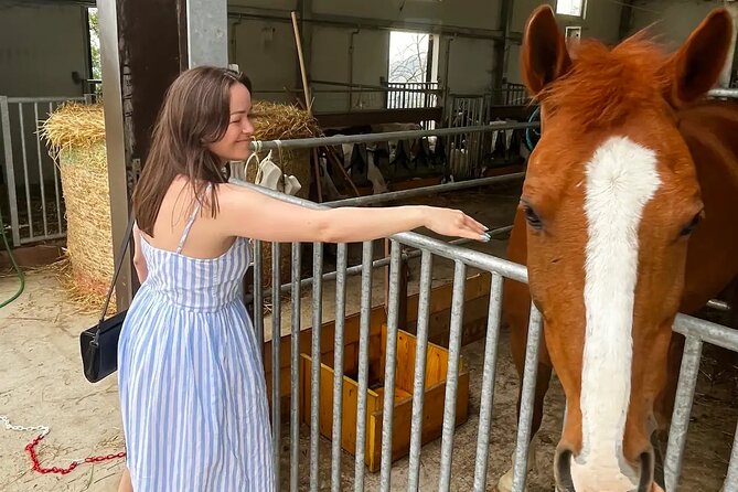 FARM STAY EXPERIENCE & DOZZA - Private Day Tour From Bologna - Should you book this Dozza and farm stay day tour?