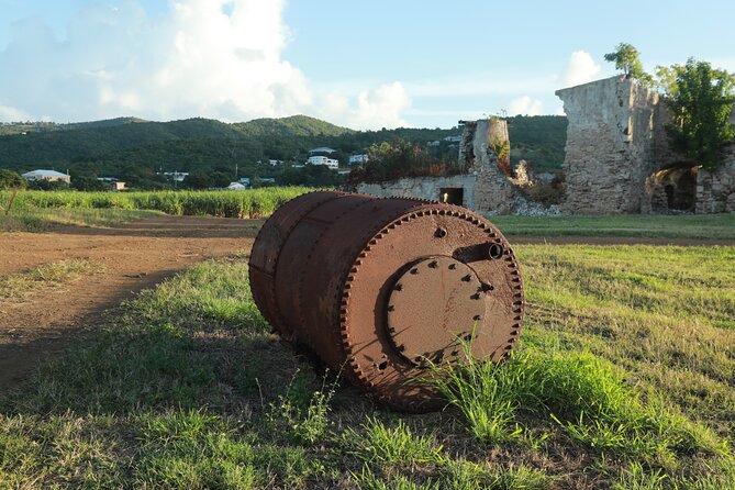Farm to Bottle Tour at Prosperity Farm Distillery - The sugarcane and sustainable farming walkthrough