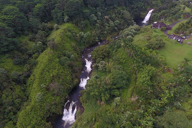 Farm to Table Cooking Class at Kulaniapia Falls - What “plant-based farm-to-table” looks like in real life