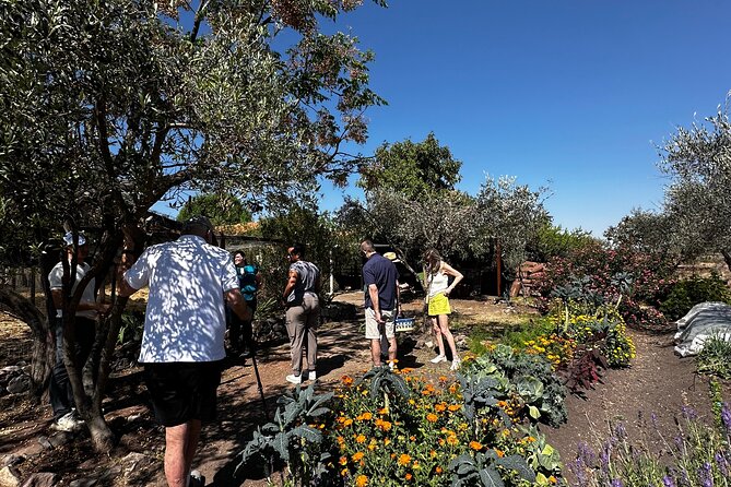 Farm to Table Cooking Experience in San Miguel - Key Points at a Glance