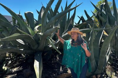 Farm to Table Cooking Experience in San Miguel - Walking the Farm and Meeting the Ingredients That Drive the Menu
