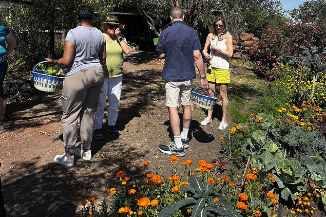 Farm to Table Cooking Experience in San Miguel - Eating in the Garden: Calm Meal Energy Between Courses