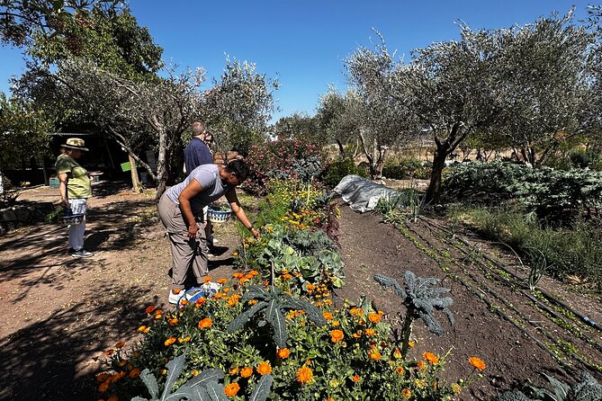 Farm to Table Cooking Experience in San Miguel - How the 4 Hours Feels Like More (in a Good Way)
