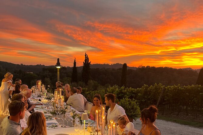 Farm To table Experience on an organic hilltop estate in Tuscany - Key highlights you should care about