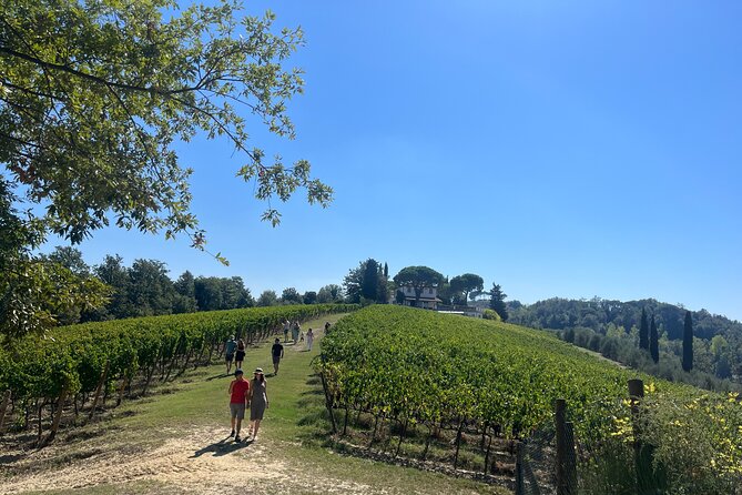 Farm To table Experience on an organic hilltop estate in Tuscany - Helping with the lunch: how the cooking class really feels
