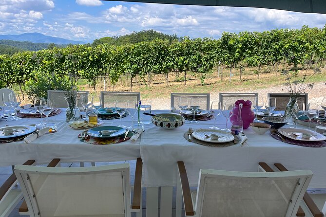 Farm To table Experience on an organic hilltop estate in Tuscany - Lunch with estate tastings: olive oil, wine, spirits, limoncello