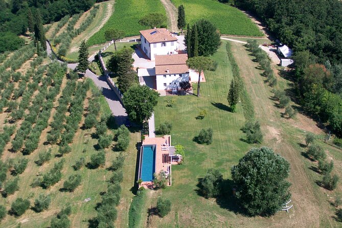 Farm To table Experience on an organic hilltop estate in Tuscany - Agriturismo Tenuta Chiudendone: what you see before you cook
