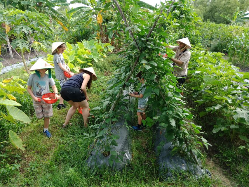 Farm-To-Table Healthy Cooking Class: Half-Day Tour - Price and Value: Is $70 Worth a Half-Day?