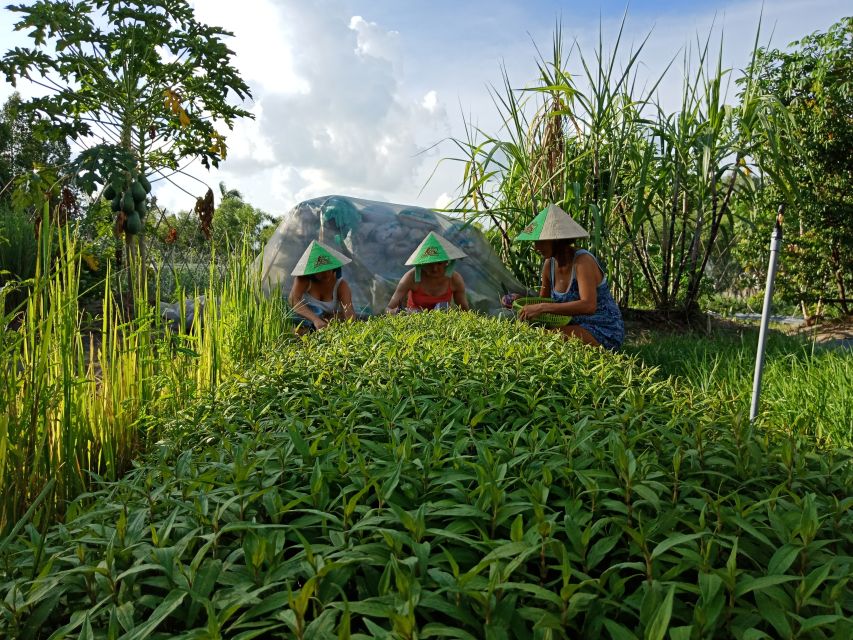 Farm-To-Table Healthy Cooking Class: Half-Day Tour - Plant Medicine Garden Walk: Herbs, Spices, and Trade-Offs