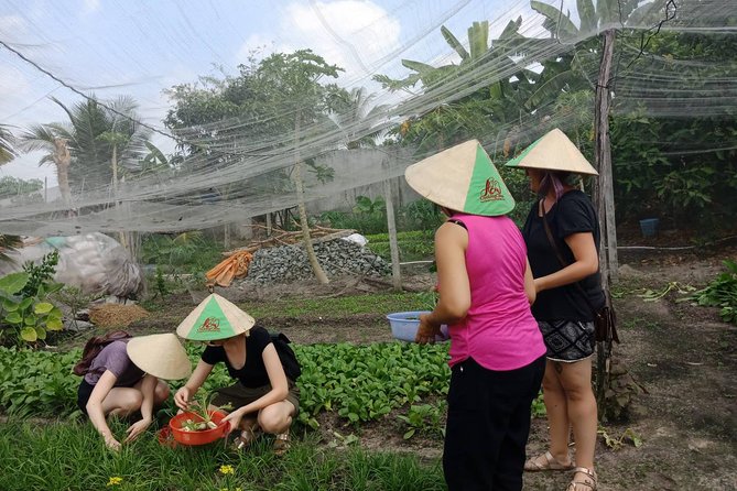Farm-To-Table Healthy Cooking Class in Ho Chi Minh City - What you actually eat and why lunch feels like part of the class