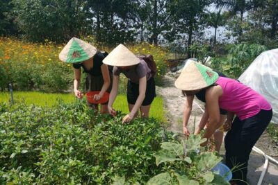 Farm-To-Table Healthy Cooking Class in Ho Chi Minh City - Meet the animals and see the herbs you’ll cook with