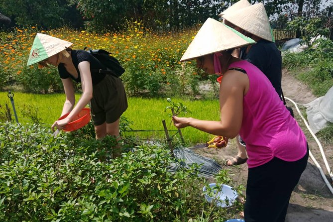 Farm-To-Table Healthy Cooking Class in Ho Chi Minh City - Pickup, timing, and how long 6.5 hours really is