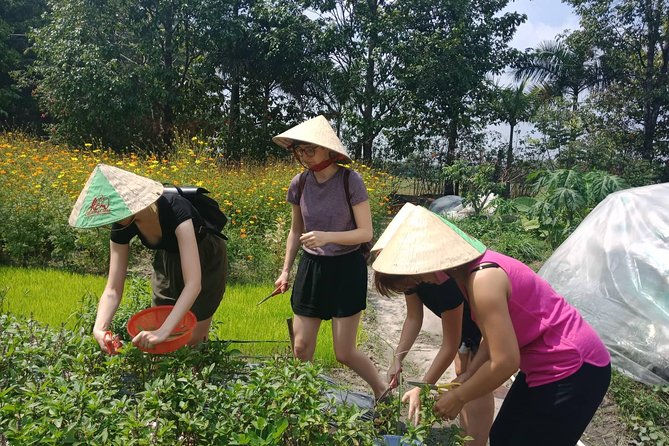 Farm-To-Table Healthy Cooking Class in Ho Chi Minh City - The small details that can make or break your day