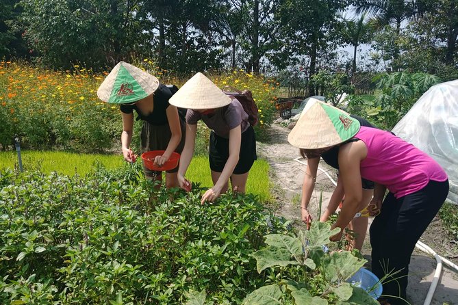 Farm-To-Table Healthy Cooking Class in Ho Chi Minh City - Meet the animals and see the herbs you’ll cook with