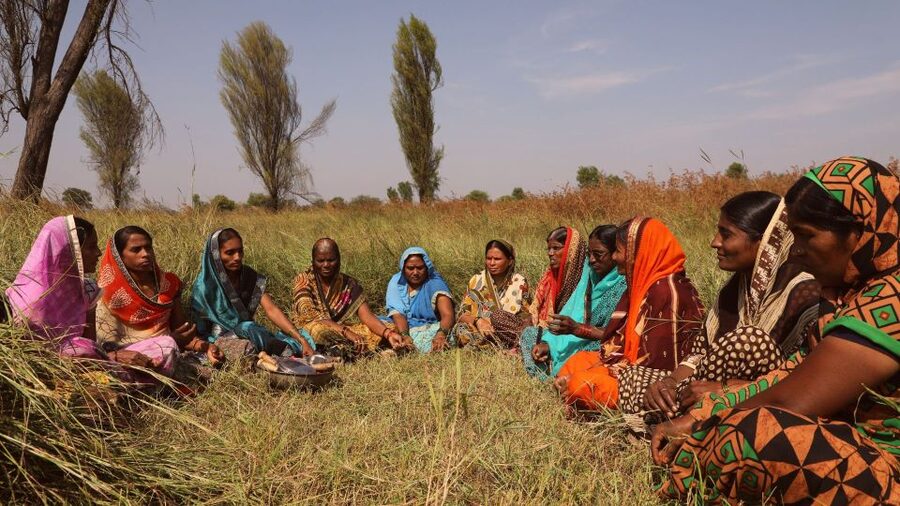 Farm to Table: With a local farmer family - Short Walk to Temples and Devras: Local Meaning Before the Meal