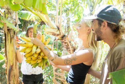 Farm to Taco: A Farm to Table Cooking Class - Your hosts at Lā Kāhea: Janelle’s land walk and Catherine’s kitchen coaching