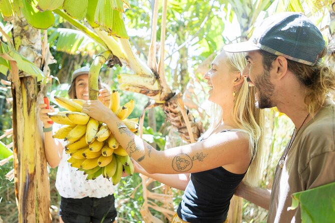 Farm to Taco: A Farm to Table Cooking Class - Your hosts at Lā Kāhea: Janelle’s land walk and Catherine’s kitchen coaching