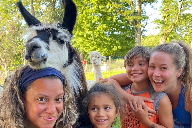 Farm Tour at Clover Brooke Llama/Alpaca/Goat Farm - The guide makes the difference: Ananda’s animal-focused background