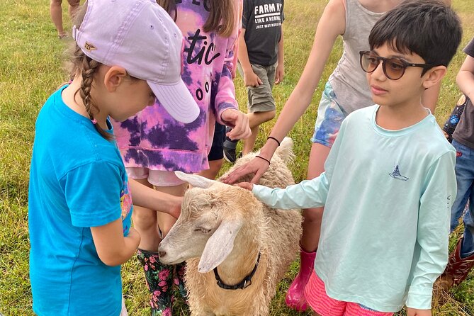 Farm Tour at Clover Brooke Llama/Alpaca/Goat Farm - How “safe interaction” plays out in your hour