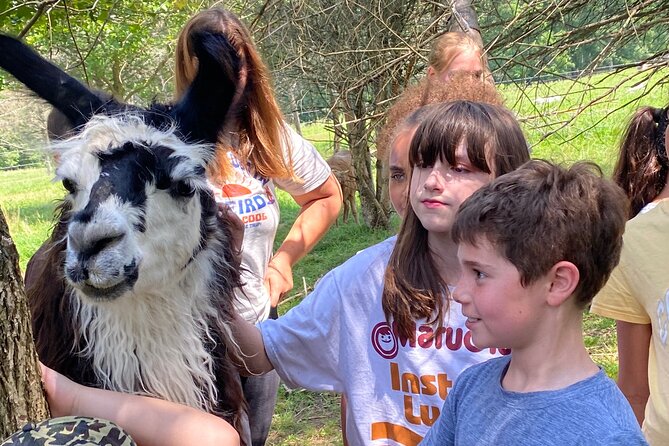 Farm Tour at Clover Brooke Llama/Alpaca/Goat Farm - Group size and flow: why 25 people is a sweet spot