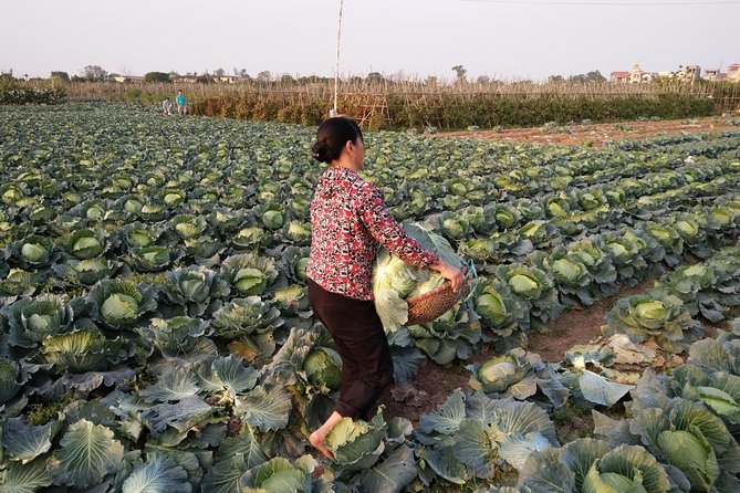 Farm tour & Home cooking class with local family in Hanoi - Quick hits to know before you go