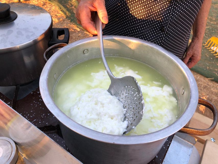 Farm Tour with Cheese-Making, Olive Oil Tasting & Picnic - Transportation: easy if you’re driving, extra if you’re not