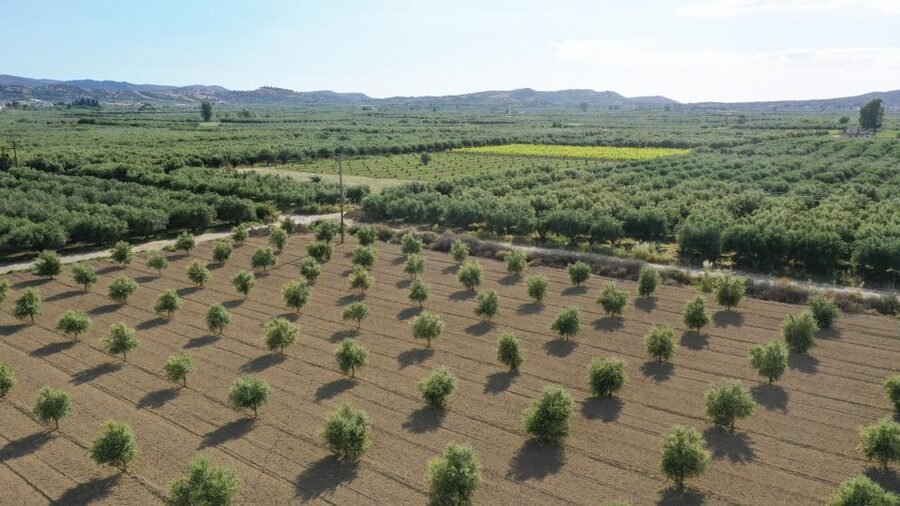 Farm Tour with Cheese-Making, Olive Oil Tasting & Picnic - Getting oriented at Cretan Vibes (and why it matters)