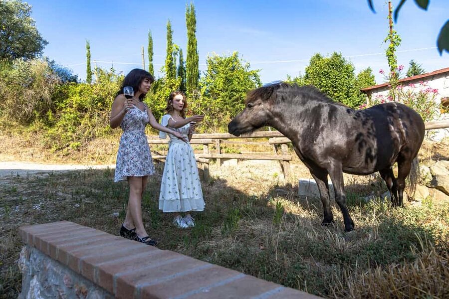 Florence: Cooking Class on a Traditional Tuscan Farm - Pick-up at Stazione Leopolda: the Florence to Chianti road trip