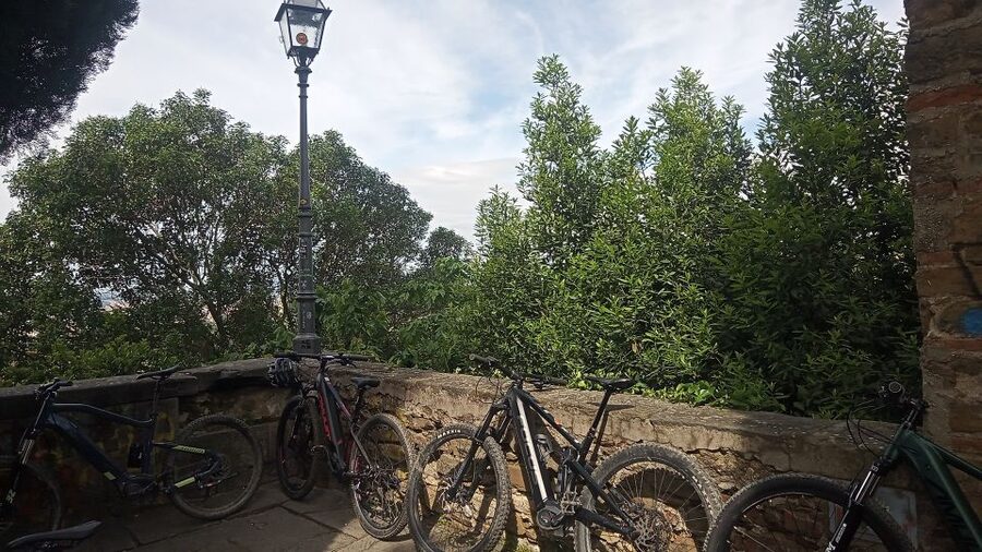 Florence: Country Ebike tour + Wine tasting in organic farm - The Return to Florence Along the Arno (and Why It Feels Good)