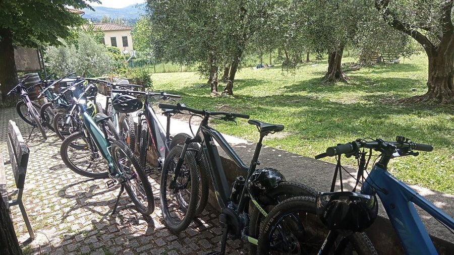 Florence: Country Ebike tour + Wine tasting in organic farm - Should You Book This Florence E-Bike + Organic Wine Farm Tour?