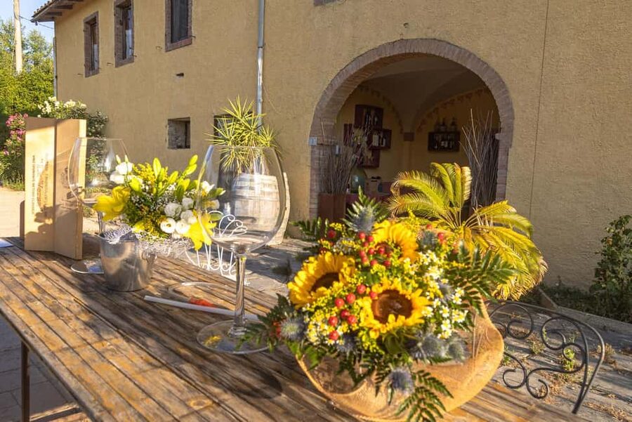 Florence: The secret of wine, cheese and olive oil at a farm - The real benefit: learning Tuscan wine and culture without a lecture