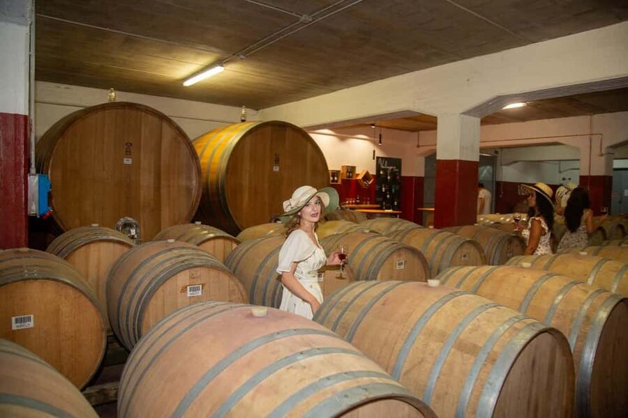 Florence: The secret of wine, cheese and olive oil at a farm - 10 organic wine tastings: how the sommelier keeps it clear