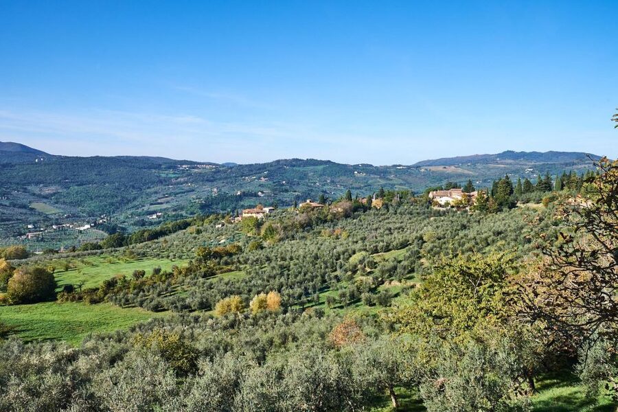 Florence: Vintage Fiat 500 Tour with Wine Tasting at Winery - The family-run winery tasting: olive oil and wine with actual context