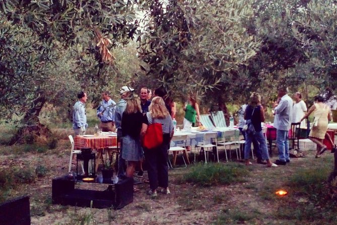 Food Experience at our Farm in Noto Hills - A regenerative farm experience, not a canned food show