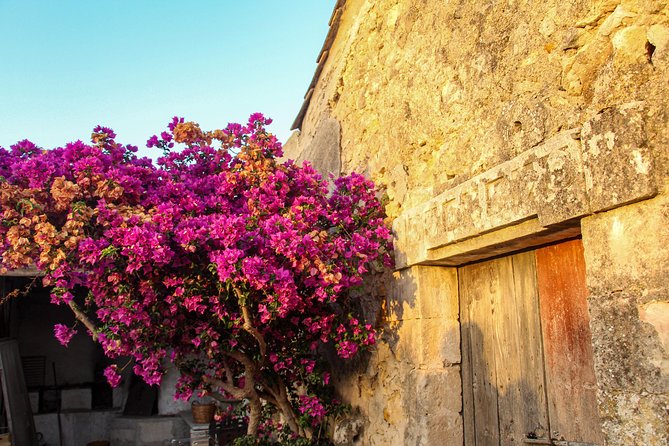 Food Experience at our Farm in Noto Hills - When this tour fits best (and when it might not)