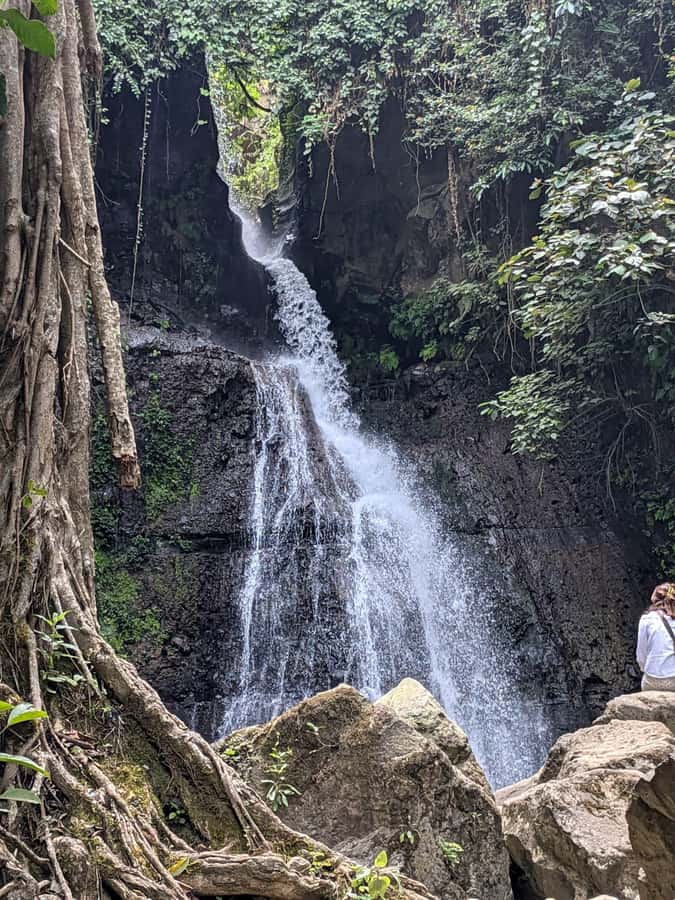 From Arusha: Coffee Farm and Mangalia Waterfalls Tour - Key Things That Make This Tour Worth Your Time