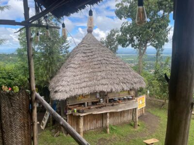 From Arusha: Coffee Farm and Mangalia Waterfalls Tour - Coffee Farm Lesson: From Cherries to a Cup