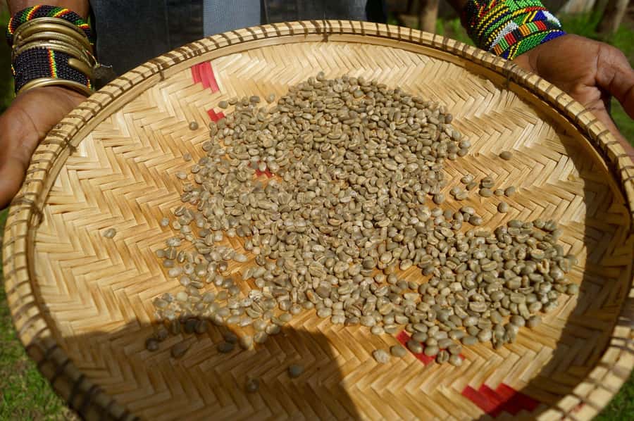 From Arusha: Coffee Farm and Mangalia Waterfalls Tour - What You’re Really Paying For: Value Breakdown at $55