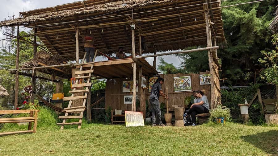 From Arusha: Coffee Farm and Mangalia Waterfalls Tour - Should You Book This Arusha Coffee and Mangalia Tour?