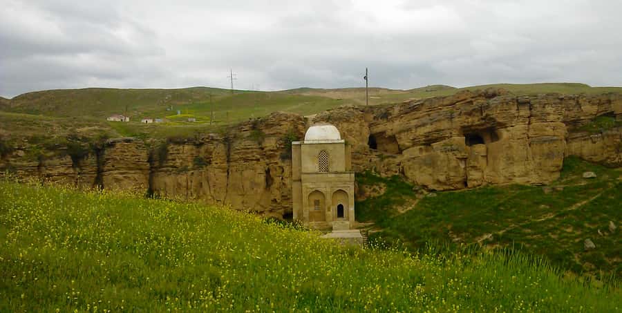 From Baku: Shamakhi City and Alpaca Farm Tour - A wine factory stop at the end: a pleasant breather
