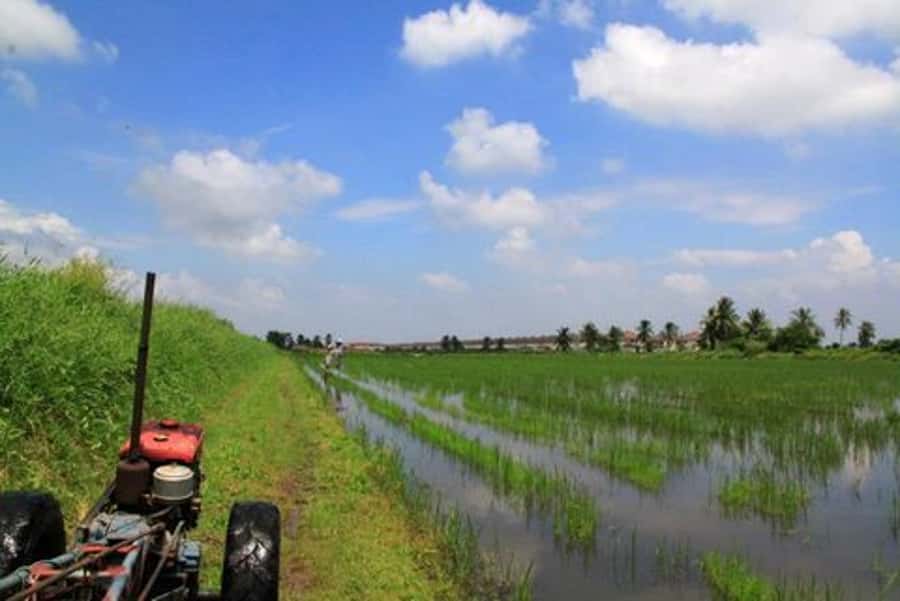 From Bangkok: Mahasawat Canal and farm with Lunch - Should You Book This Mahasawat Canal and Farm Day?