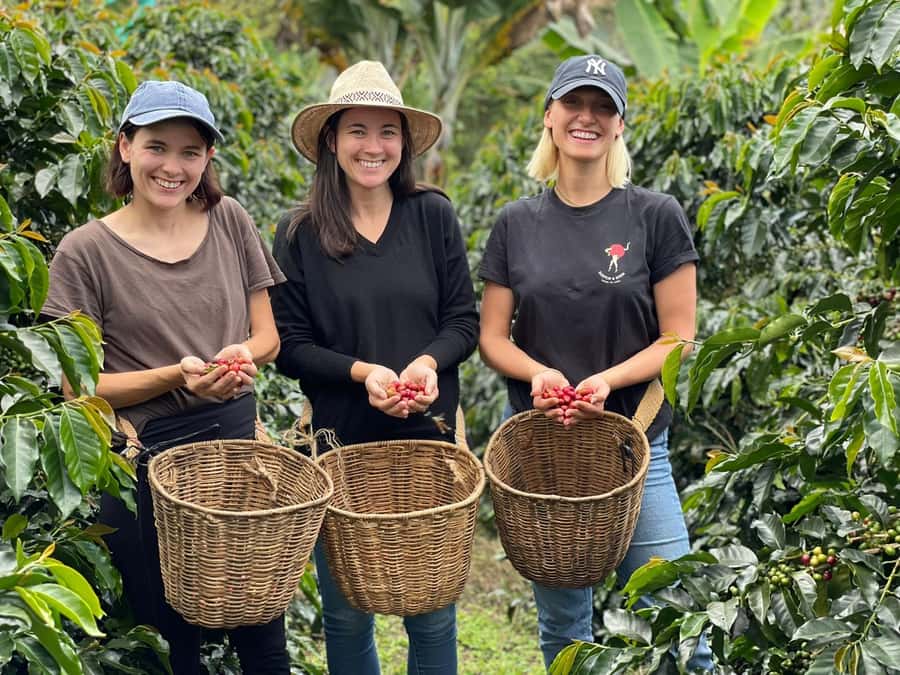 From Bogota: 5 hour guided coffe farm tour - All included - Key things to know before you go