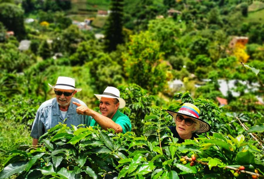 From Bogota: 5 hour guided coffe farm tour - All included - Breakfast in Ubaque: fuel that actually matters