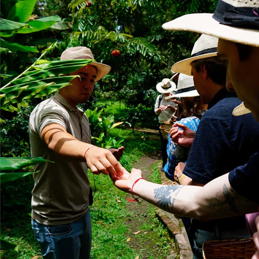 From Bogotá: Coffee Farm and Tequendama Falls Tour - Key highlights worth getting out of bed for