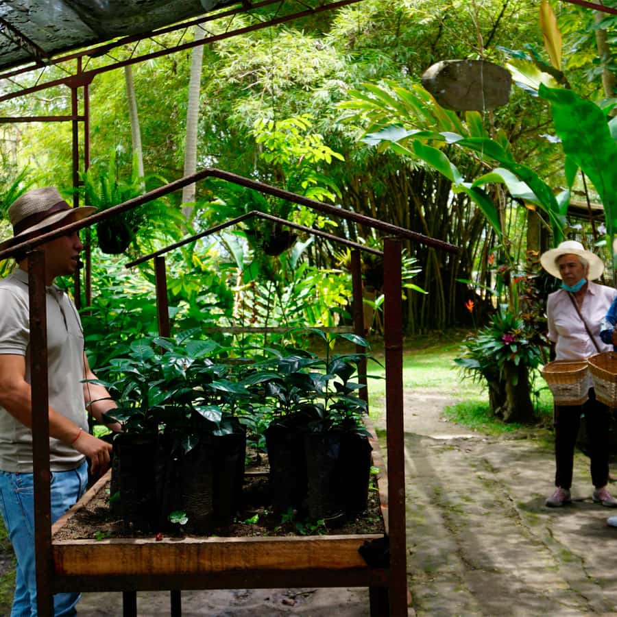 From Bogotá: Coffee Farm and Tequendama Falls Tour - Birds, wildlife, and the “why” behind the scenery