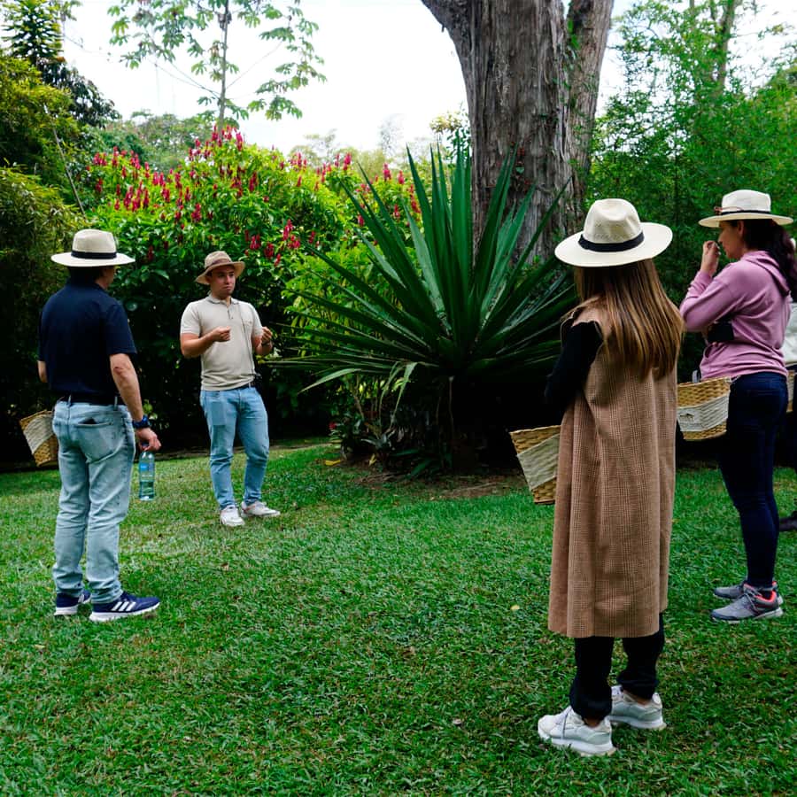 From Bogotá: Coffee Farm and Tequendama Falls Tour - What to bring for a smooth day in Cundinamarca