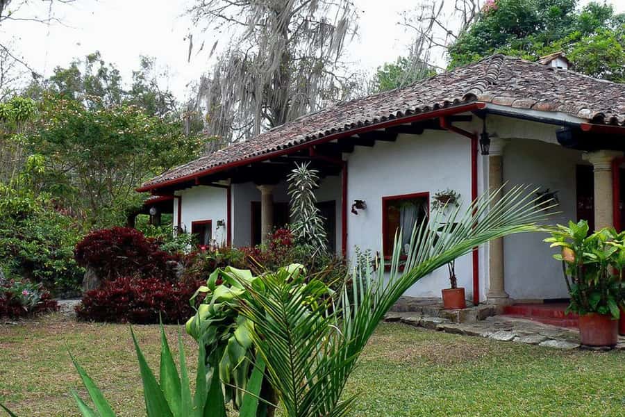 From Bogotá: Coffee Farm Experience Private Day Tour - Key Highlights You Should Actually Care About