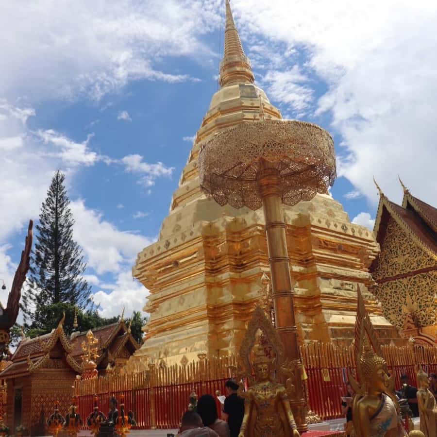 From Chiang Mai: Temples, Sticky Waterfall, and Orchid Farm - Key highlights worth your attention